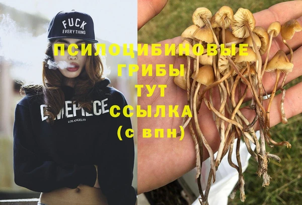 mdpv Абдулино